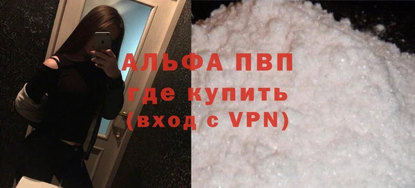 гидра Кодинск