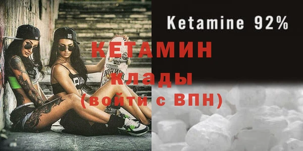 гидра Кодинск