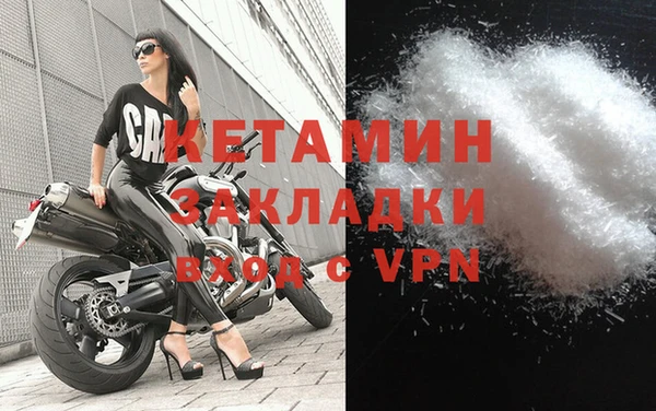 гидра Кодинск