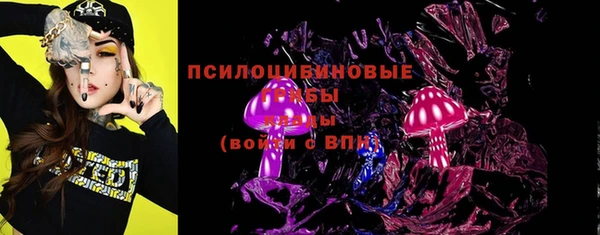 тгк Козельск