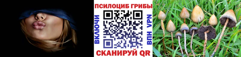 Псилоцибиновые грибы GOLDEN TEACHER  Кыштым 